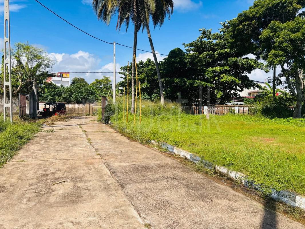 Commercial Land for Sale in Panadura