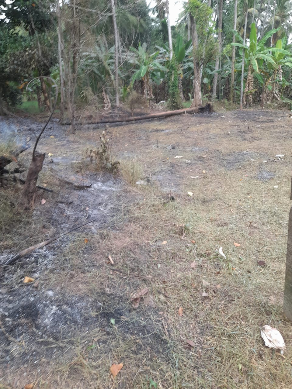 Residential Land for Sale in Kotugoda