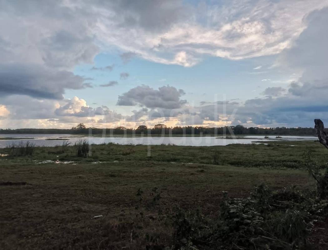 Agricultural Land for Sale in Tangalla