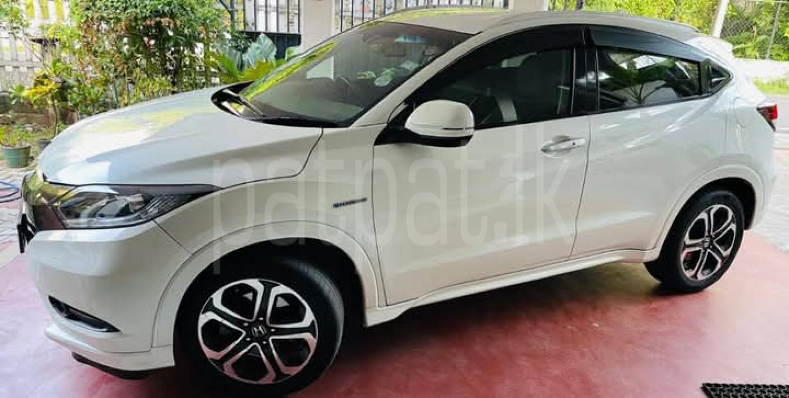 Advertisement image 2