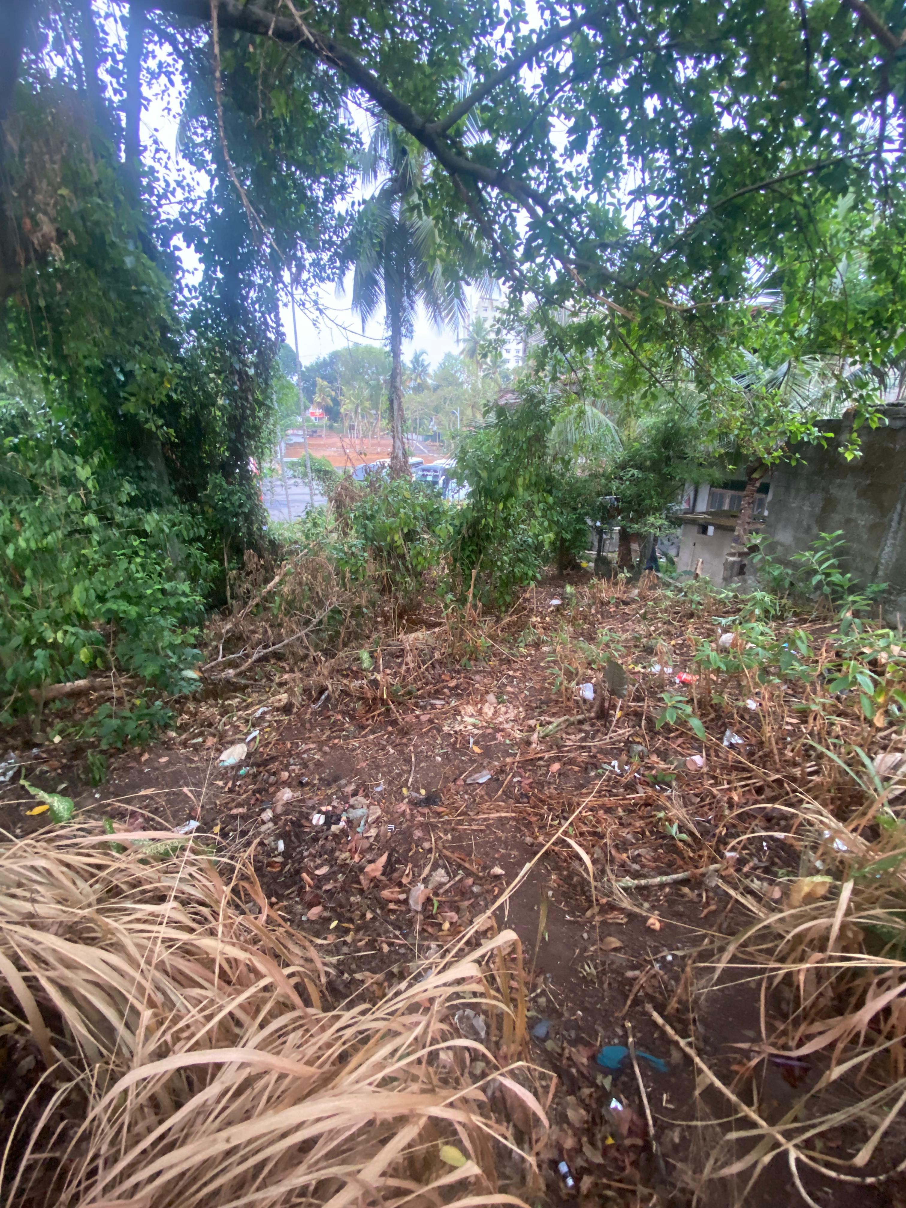 Agricultural Land for Sale in Kottawa