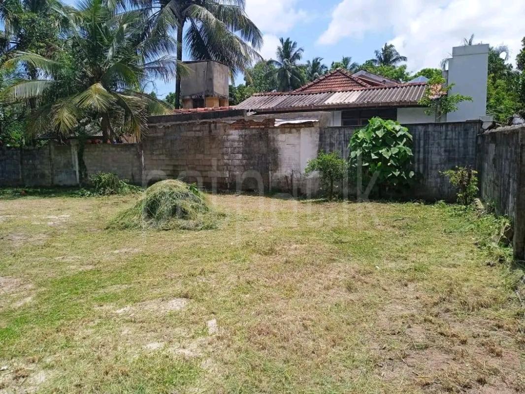 Agricultural Land for Sale in Polgahawela