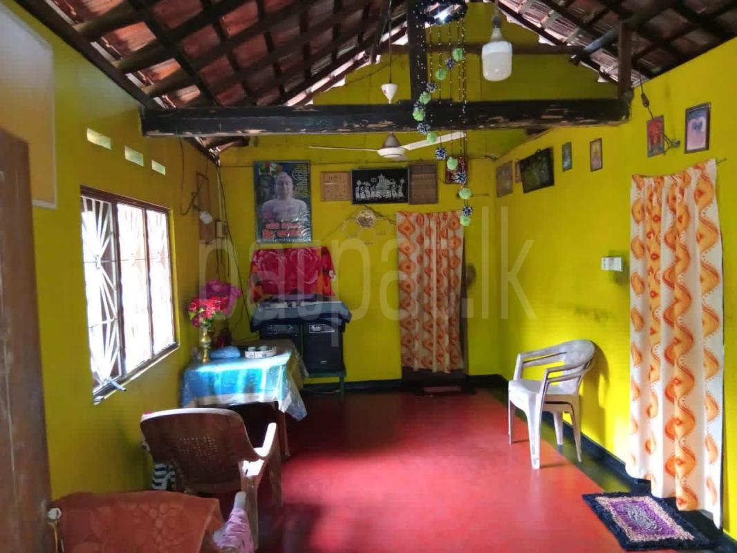 House for Sale in Badalgama ads-image-1