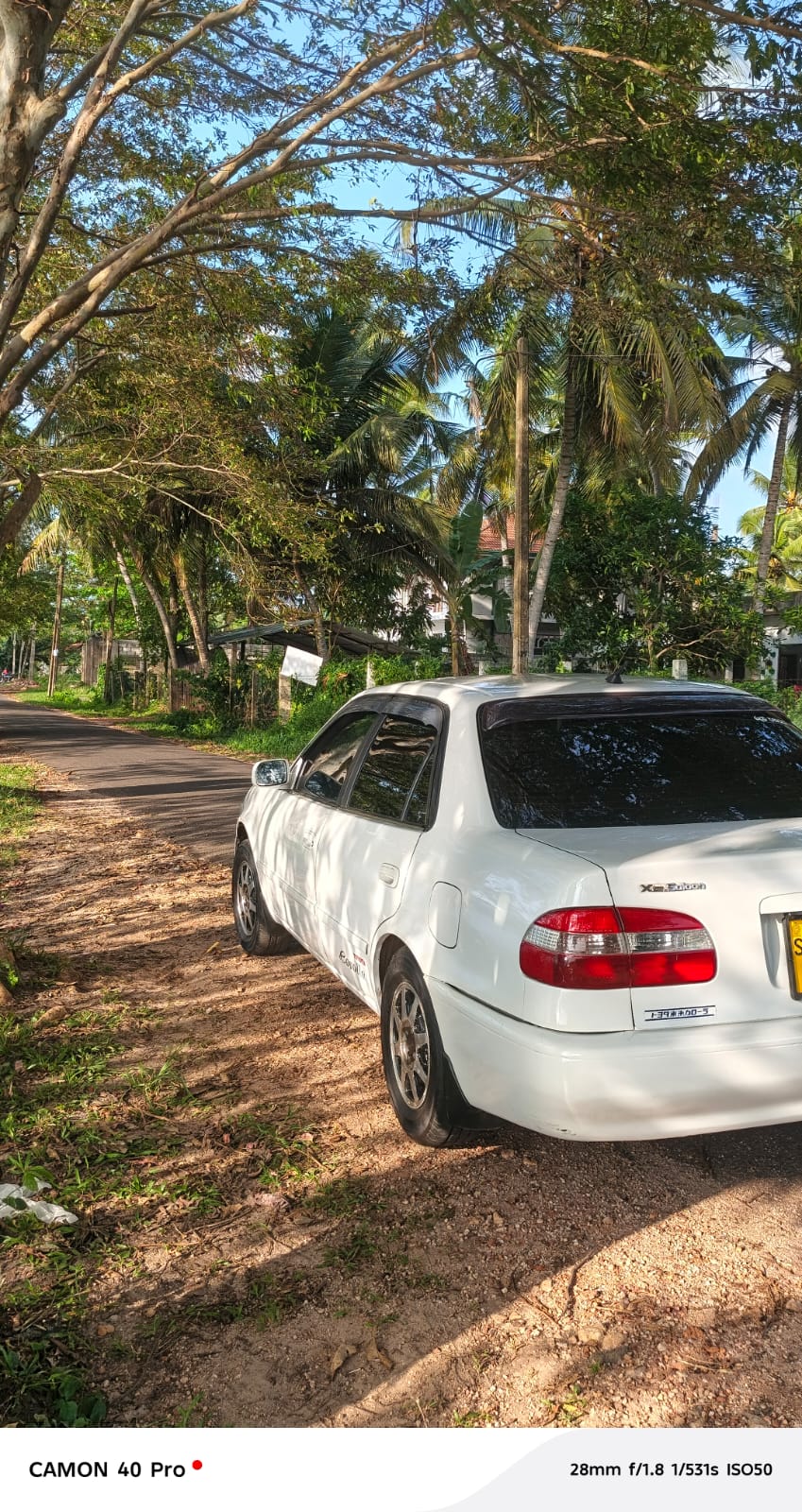 Toyota Corolla 1999 - භාවිතා කරන ලද කාර් sale in Sri Lanka - patpat.lk