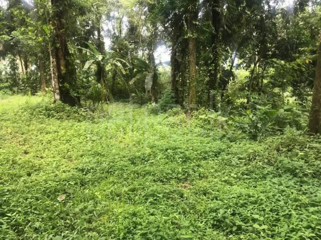 Commercial Land for Sale in Piliyandala ads-image-1