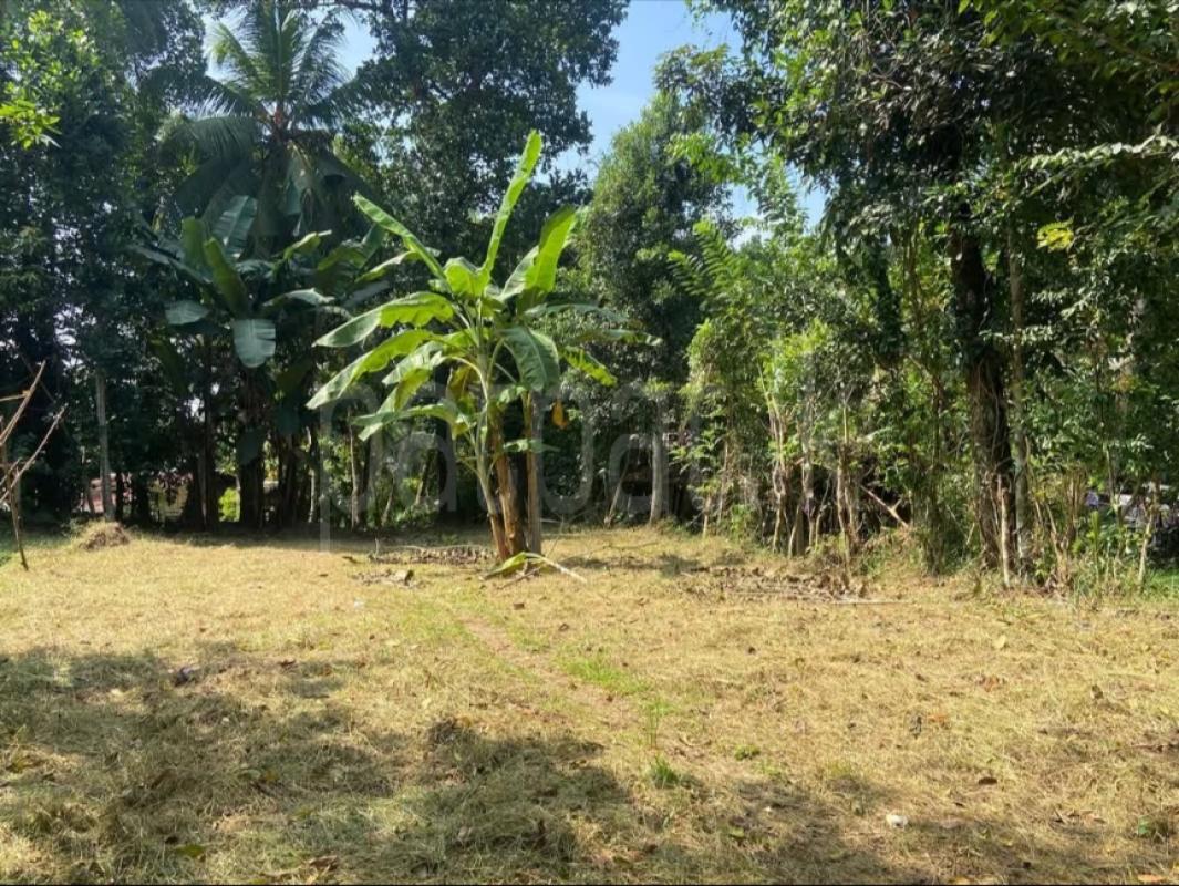 Residential Land for Sale in Attanagalla ads-image-1