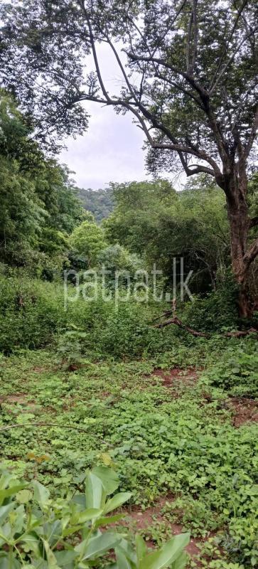 Residential Land for Sale in Kataragama