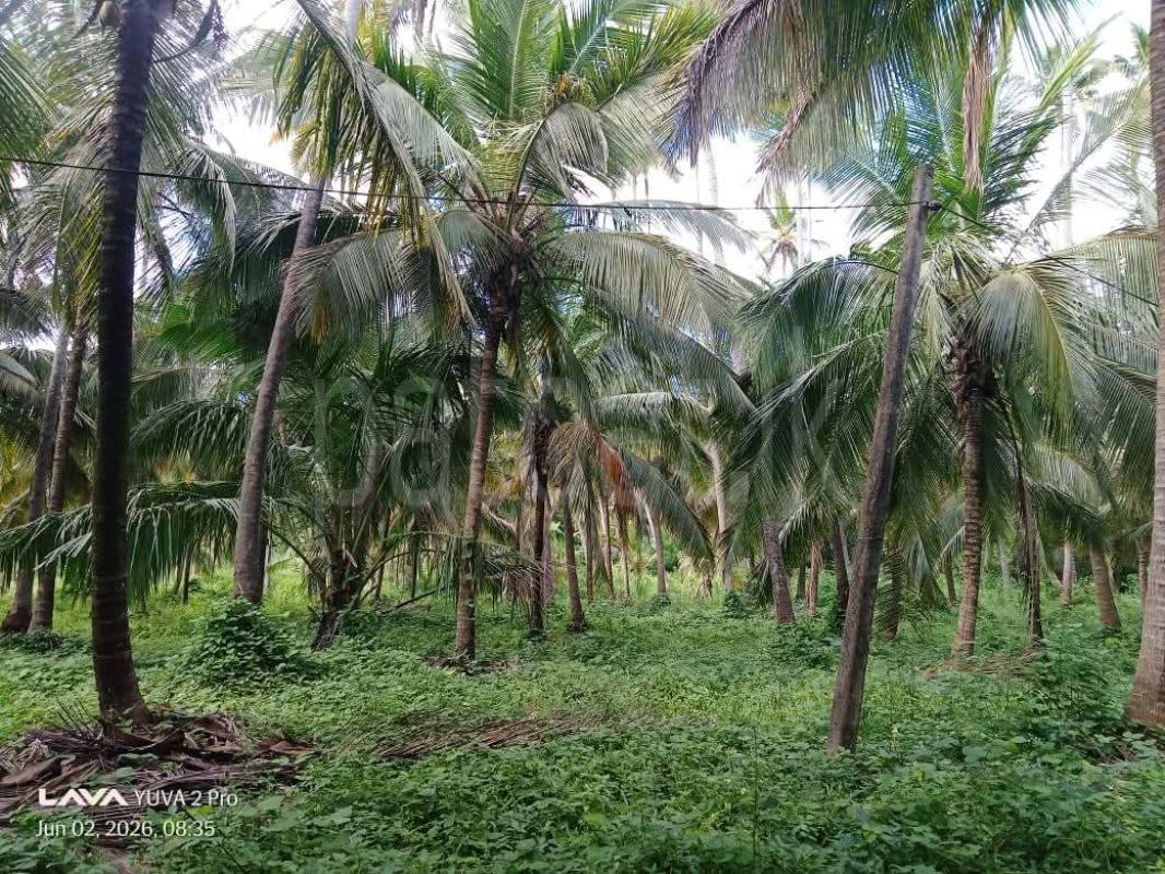 Agricultural Land for Sale in Hiripitiya
