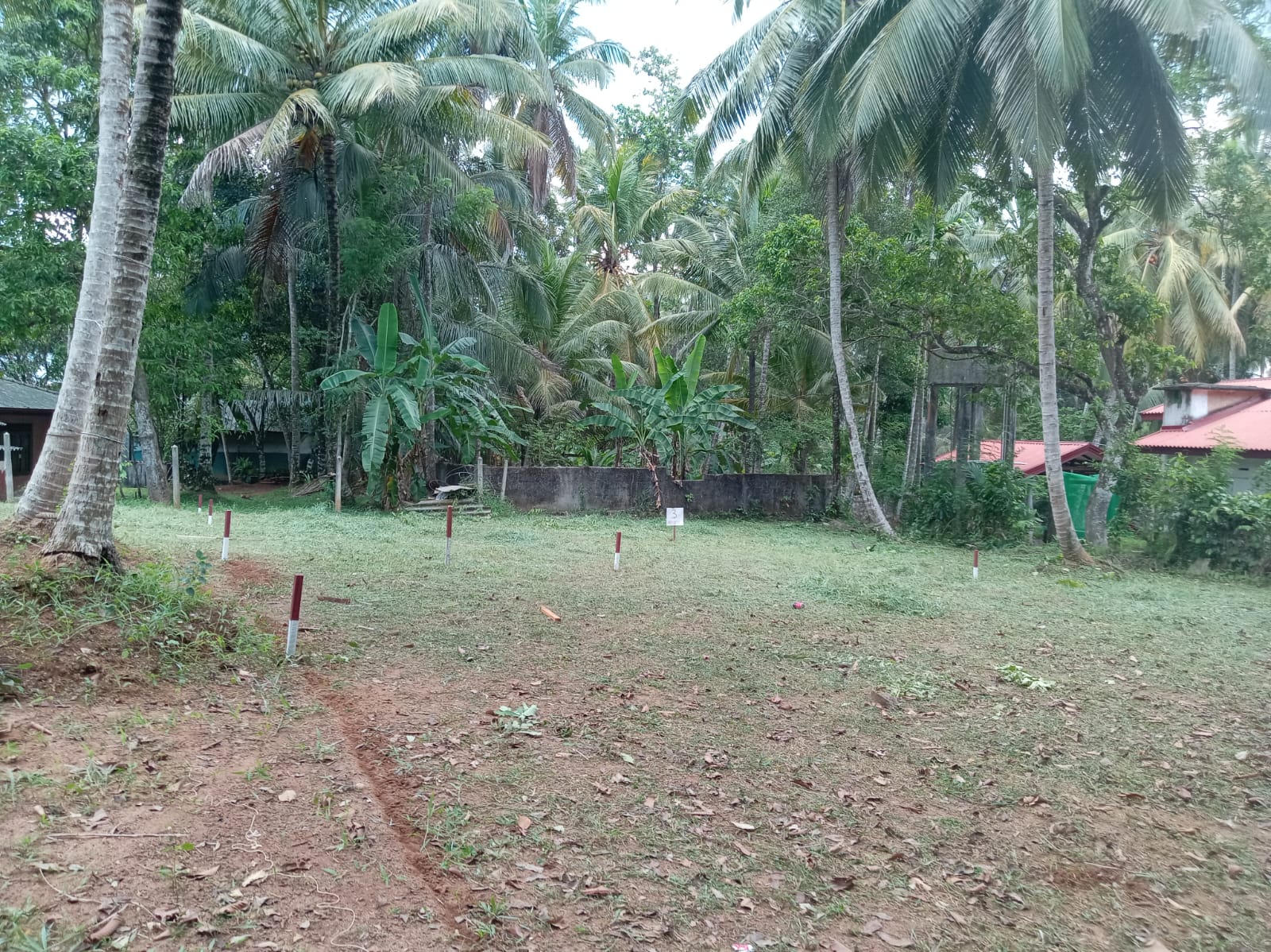 Commercial Land for Sale in Delgoda