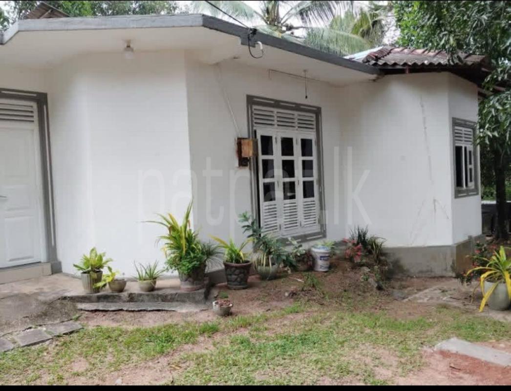 House for Sale in Veyangoda ads-image-1
