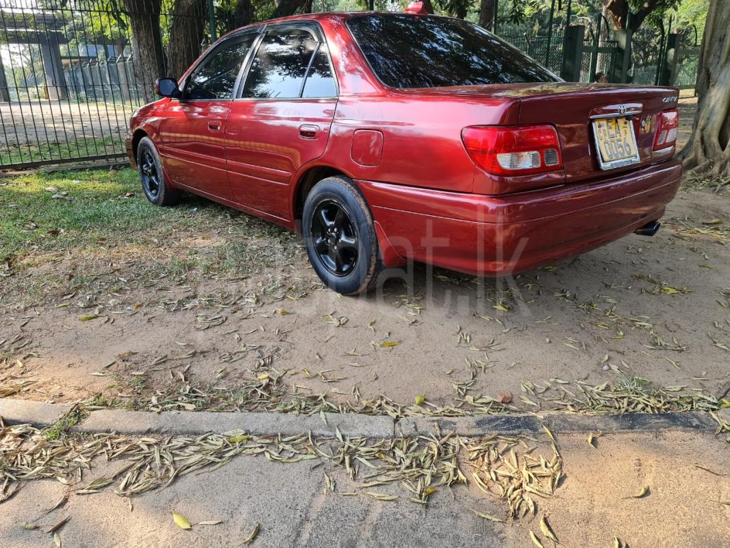 Advertisement image 6