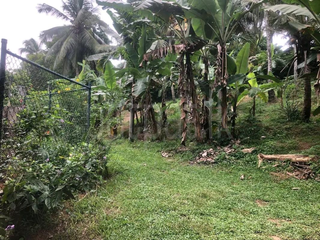Residential Land for Sale in Veyangoda