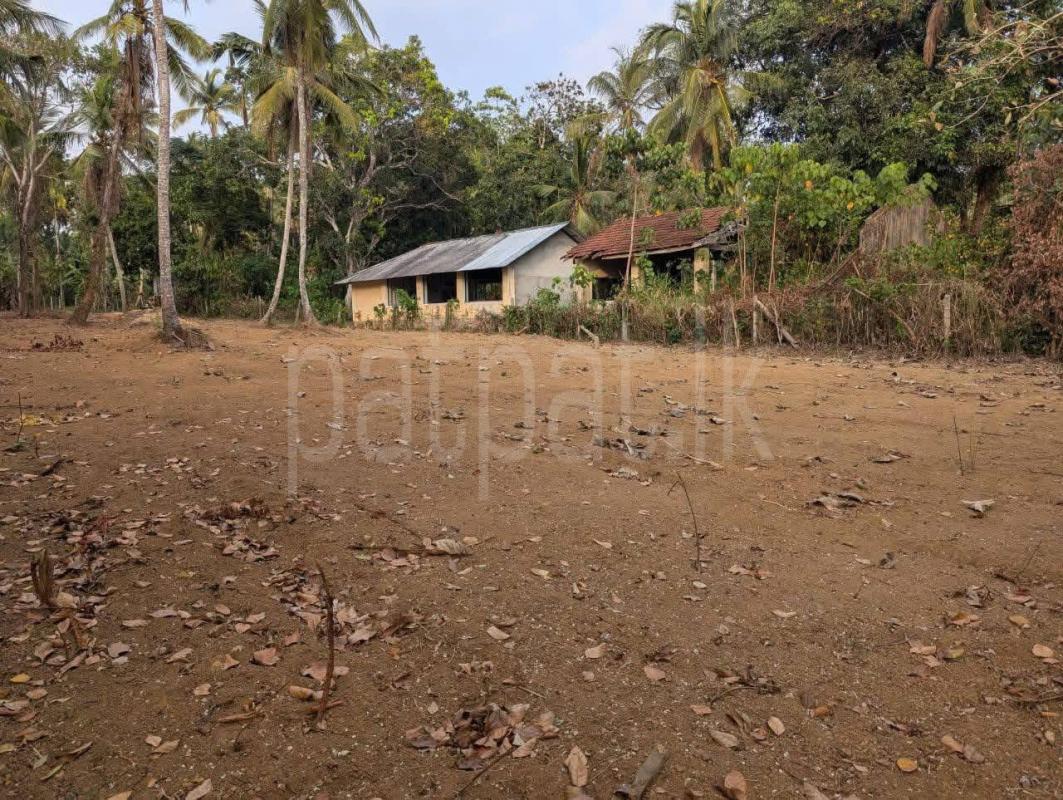 Commercial Land for Sale in Negombo ads-image-1