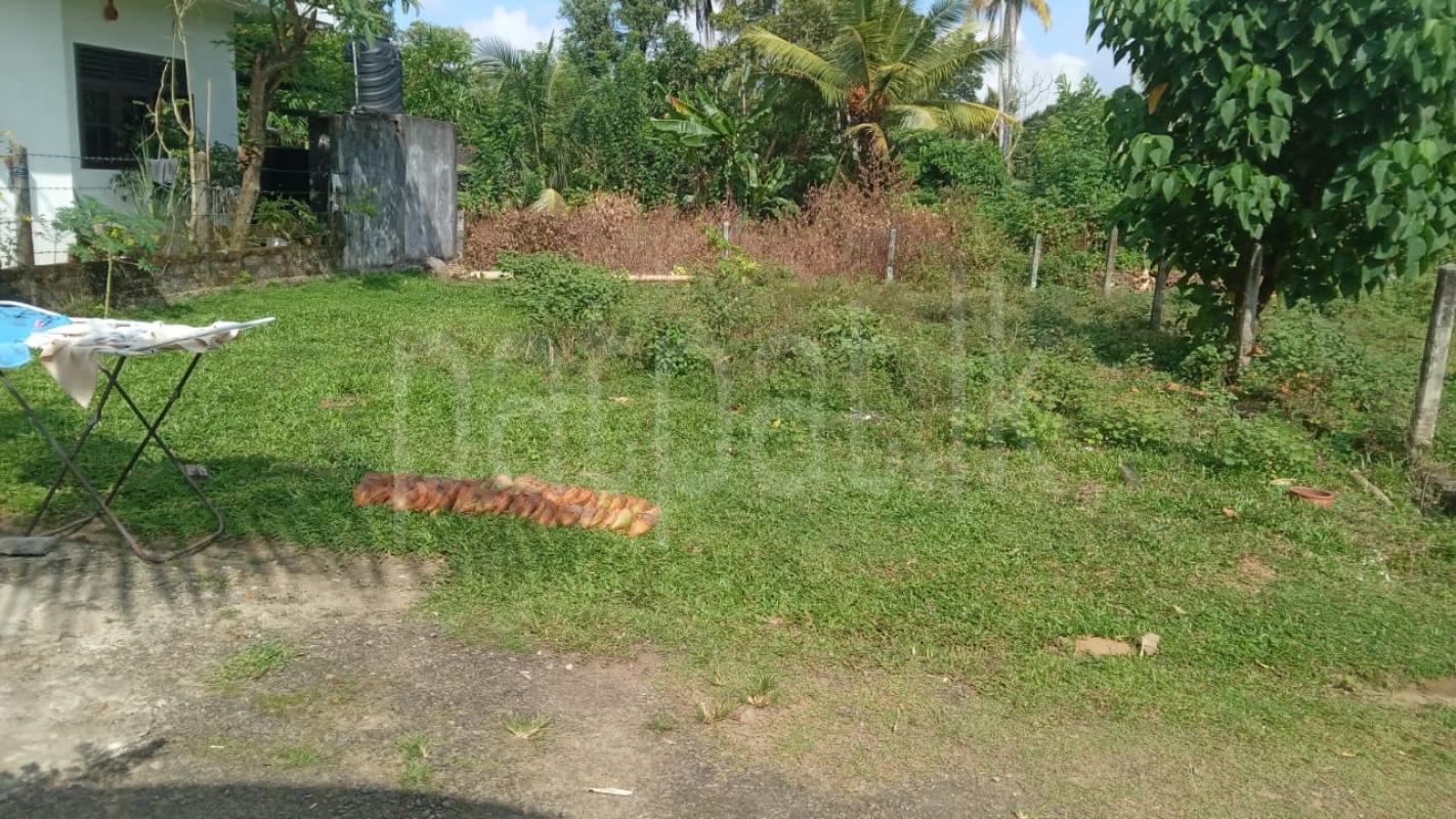 Residential Land for Sale in Homagama