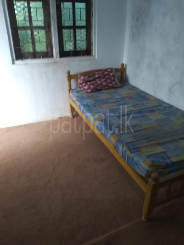 Room for Rent in Homagama ads-image-1