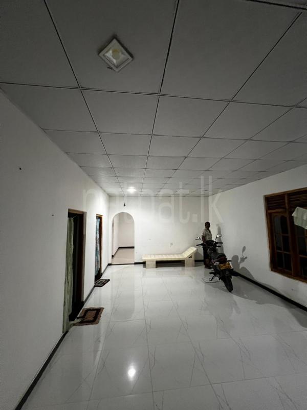 premium-listing-image