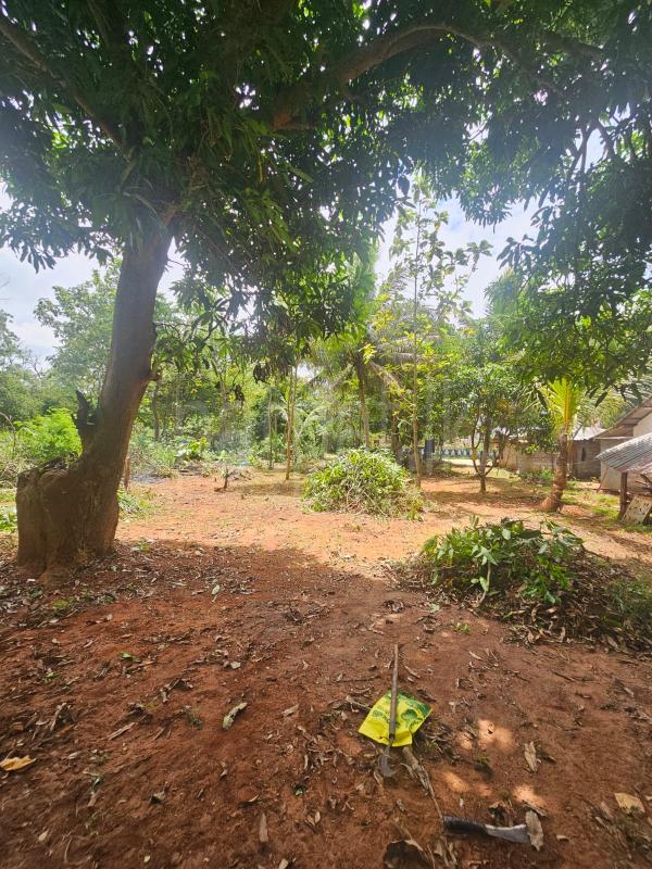Residential Land for Sale in Sigiriya