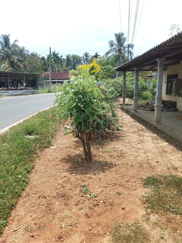 House for Sale in Kurunegala