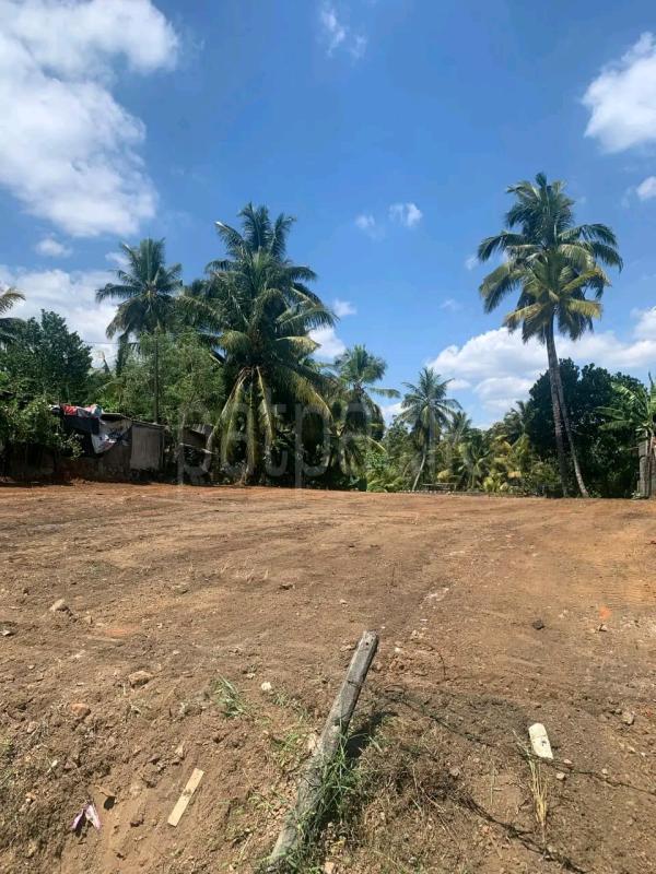 Residential Land for Sale in Ja-Ela