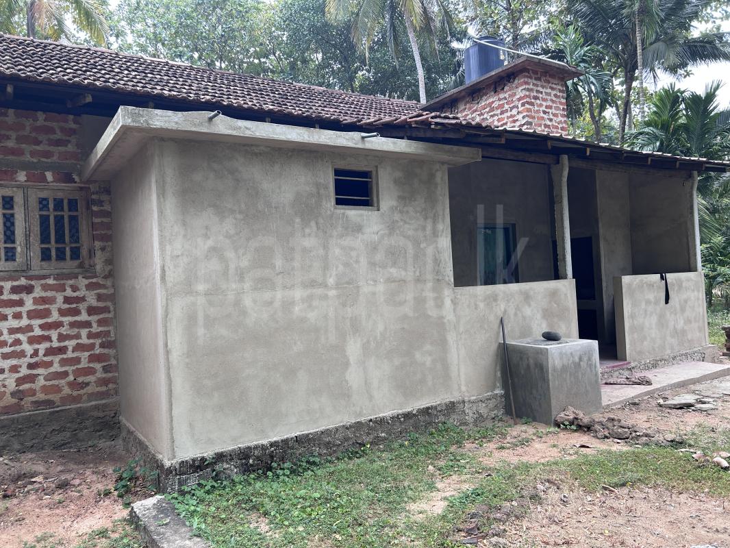 Advertisement image 8