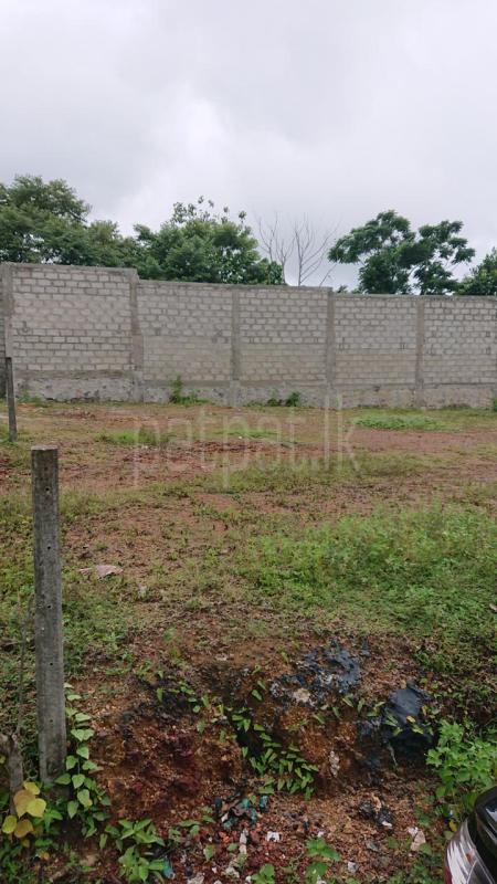 Residential Land for Sale in Kiriwattuduwa
