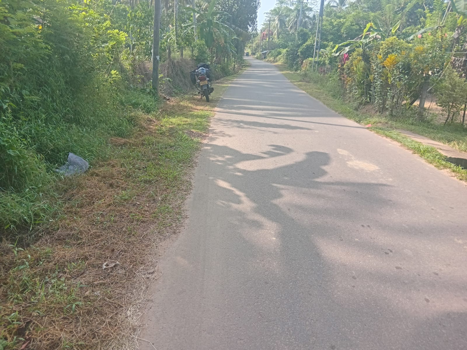 Agricultural Land for Sale in Horana