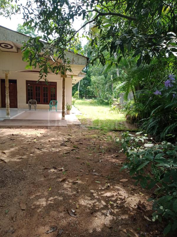 House for Sale in Minuwangoda ads-image-1