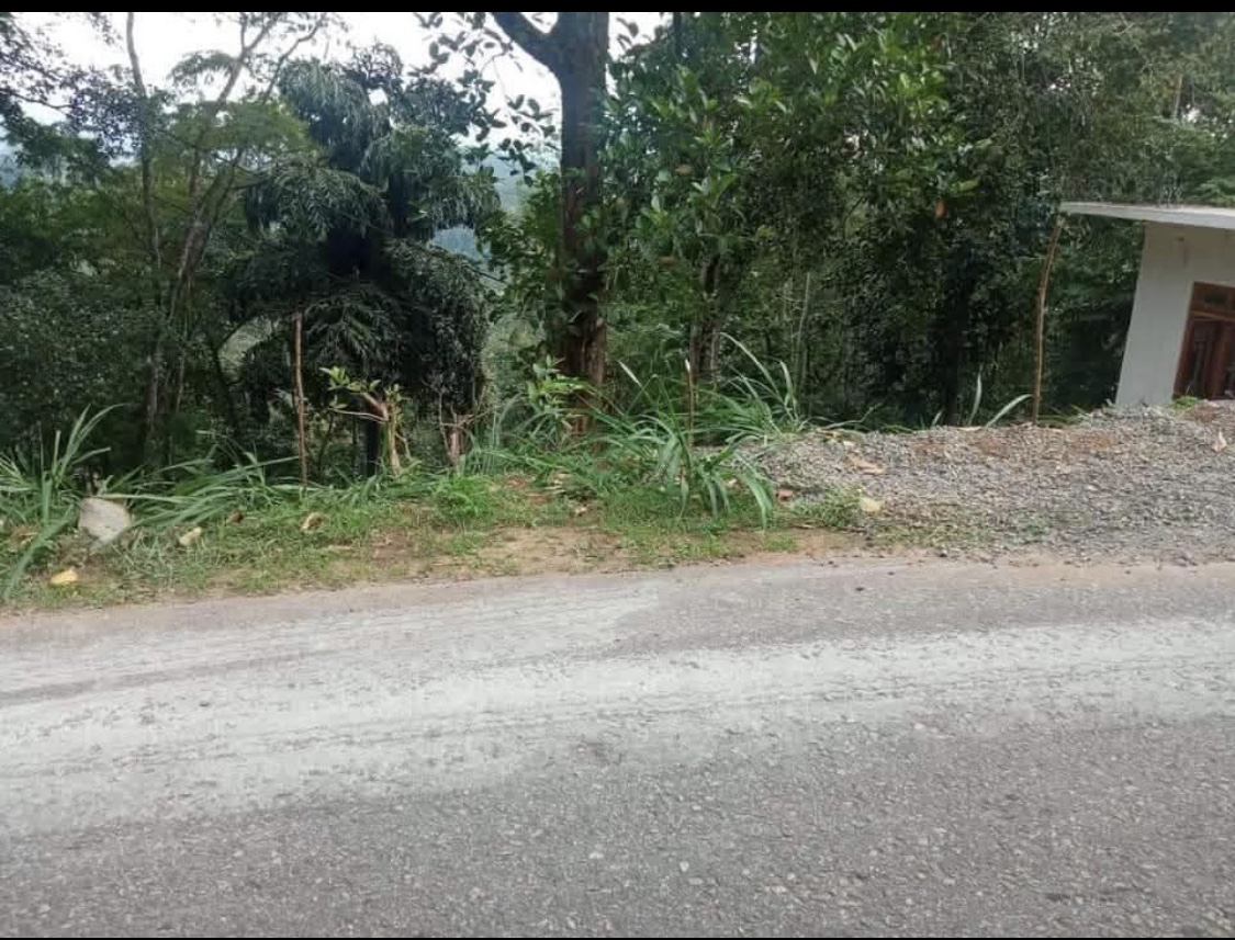 Agricultural Land for Sale in Kundasale