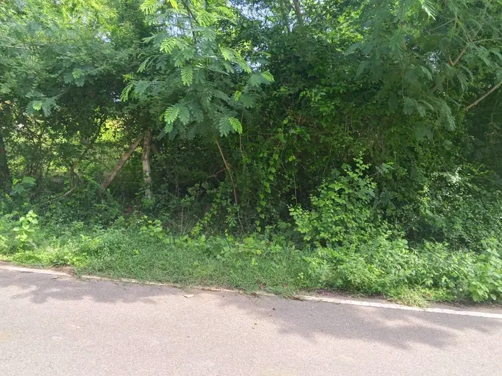 Commercial Land for Sale in Tangalla