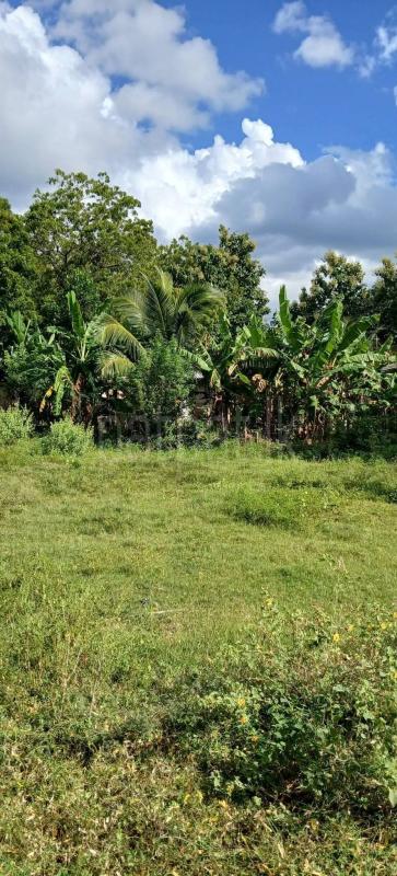 Residential Land for Sale in Kataragama ads-image-1