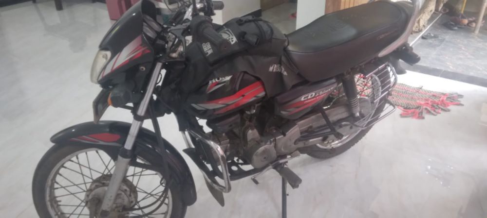 Advertisement image 3