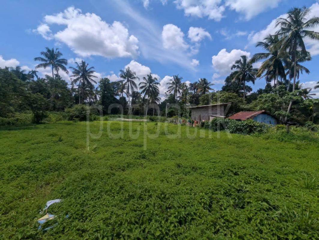 Residential Land for Sale in Divulapitiya
