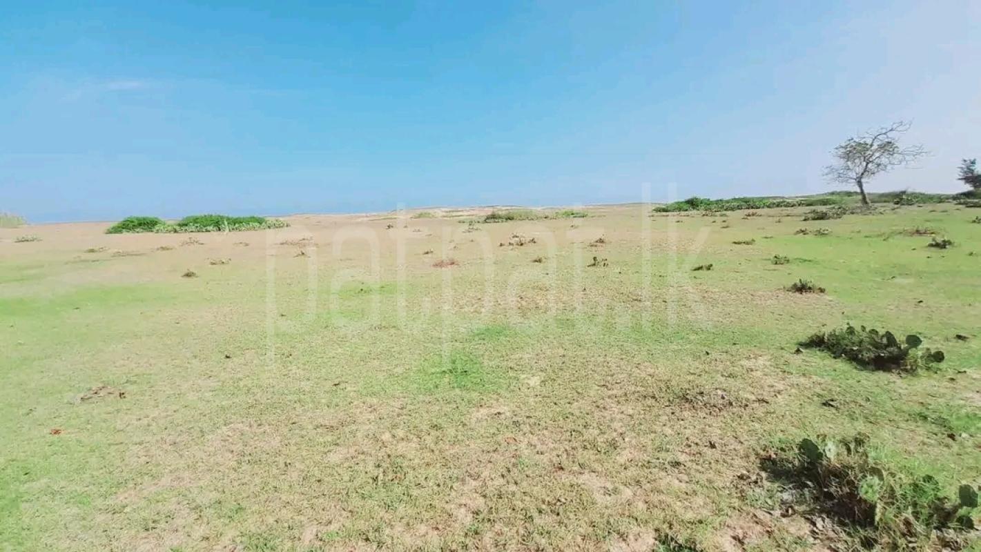 Residential Land for Sale in Weligama