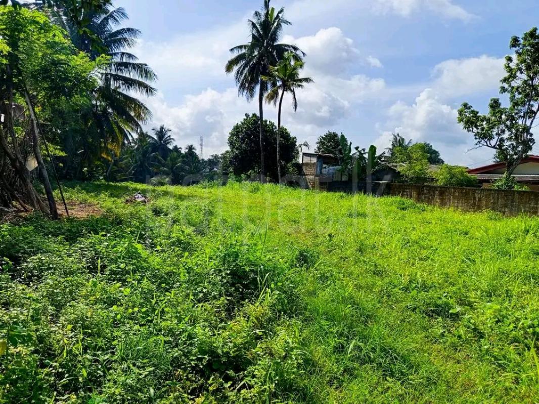 Agricultural Land for Sale in Mabodale