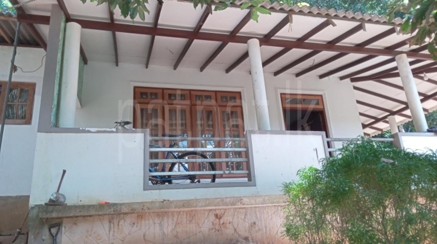 House for Sale in Polgolla ads-image-1