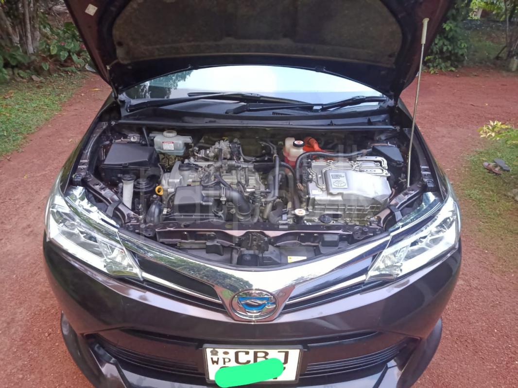 Advertisement image 2