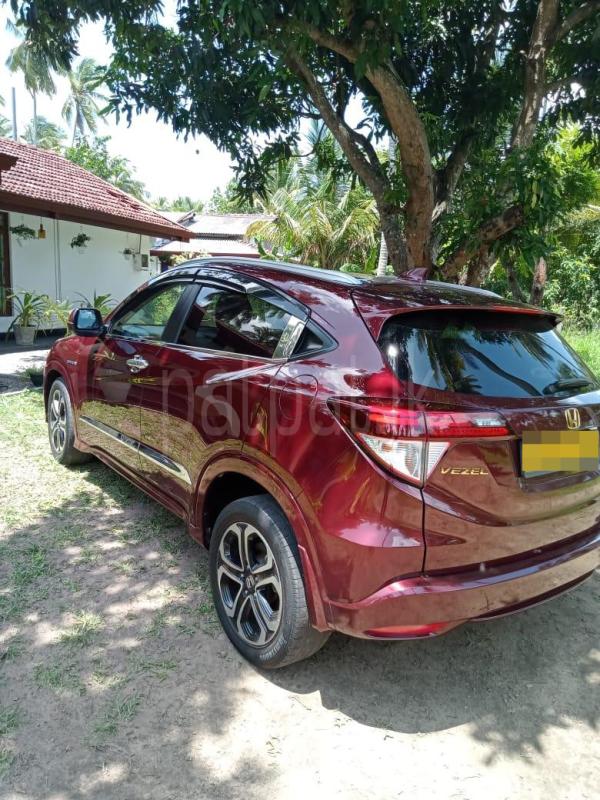 Advertisement image 5