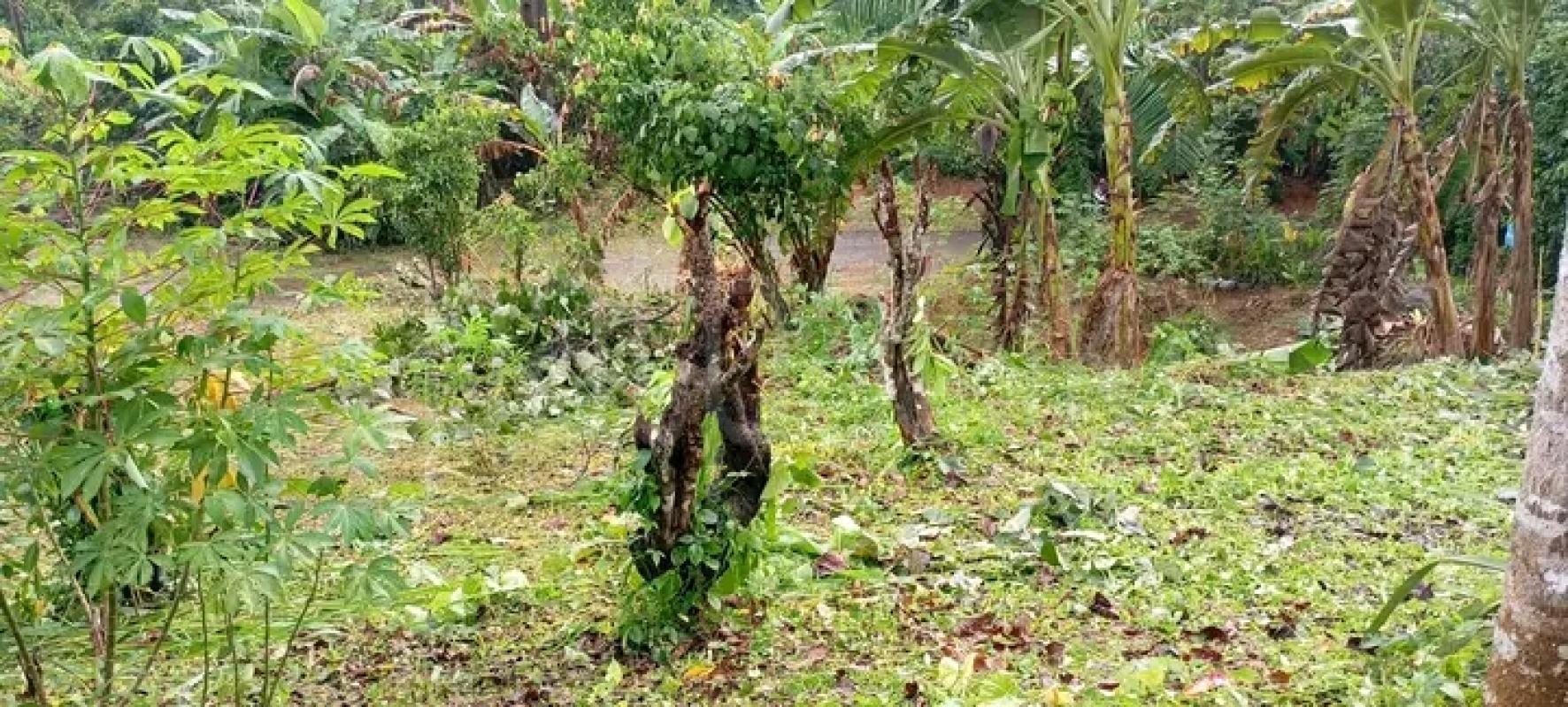 Residential Land for Sale in Karapitiya