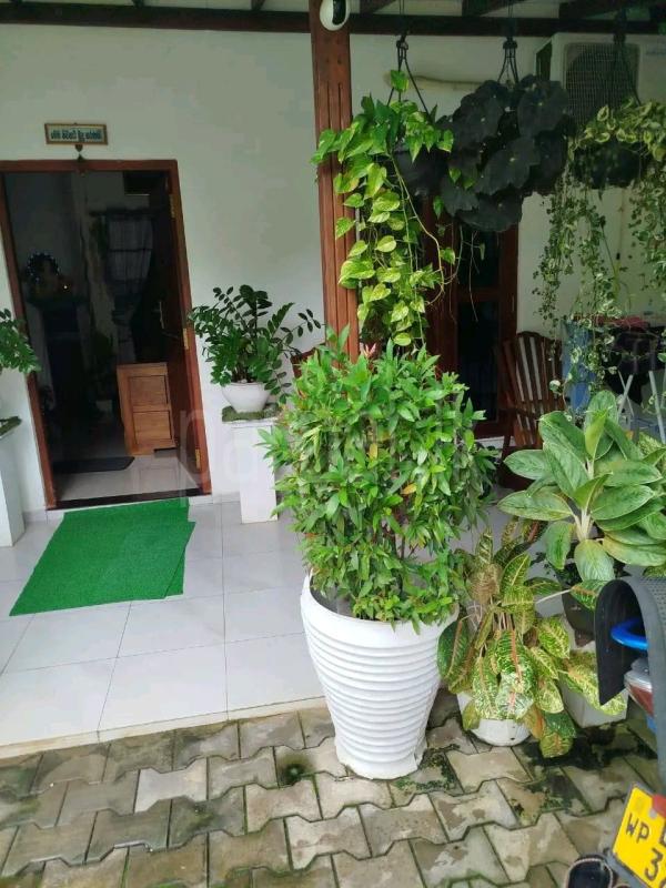 House for Sale in Homagama ads-image-1