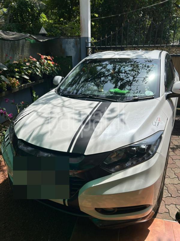 Advertisement image 3