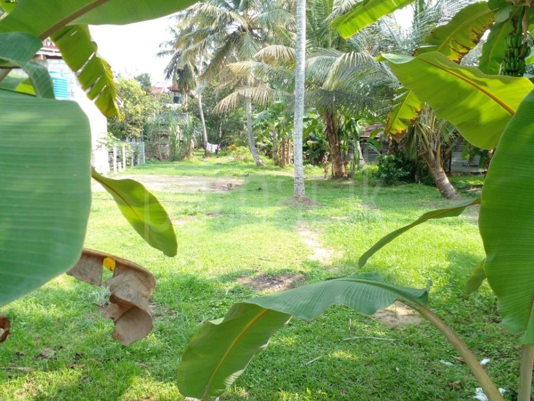 Residential Land for Sale in Ja-Ela ads-image-1