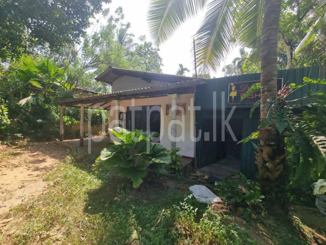 Advertisement image 1