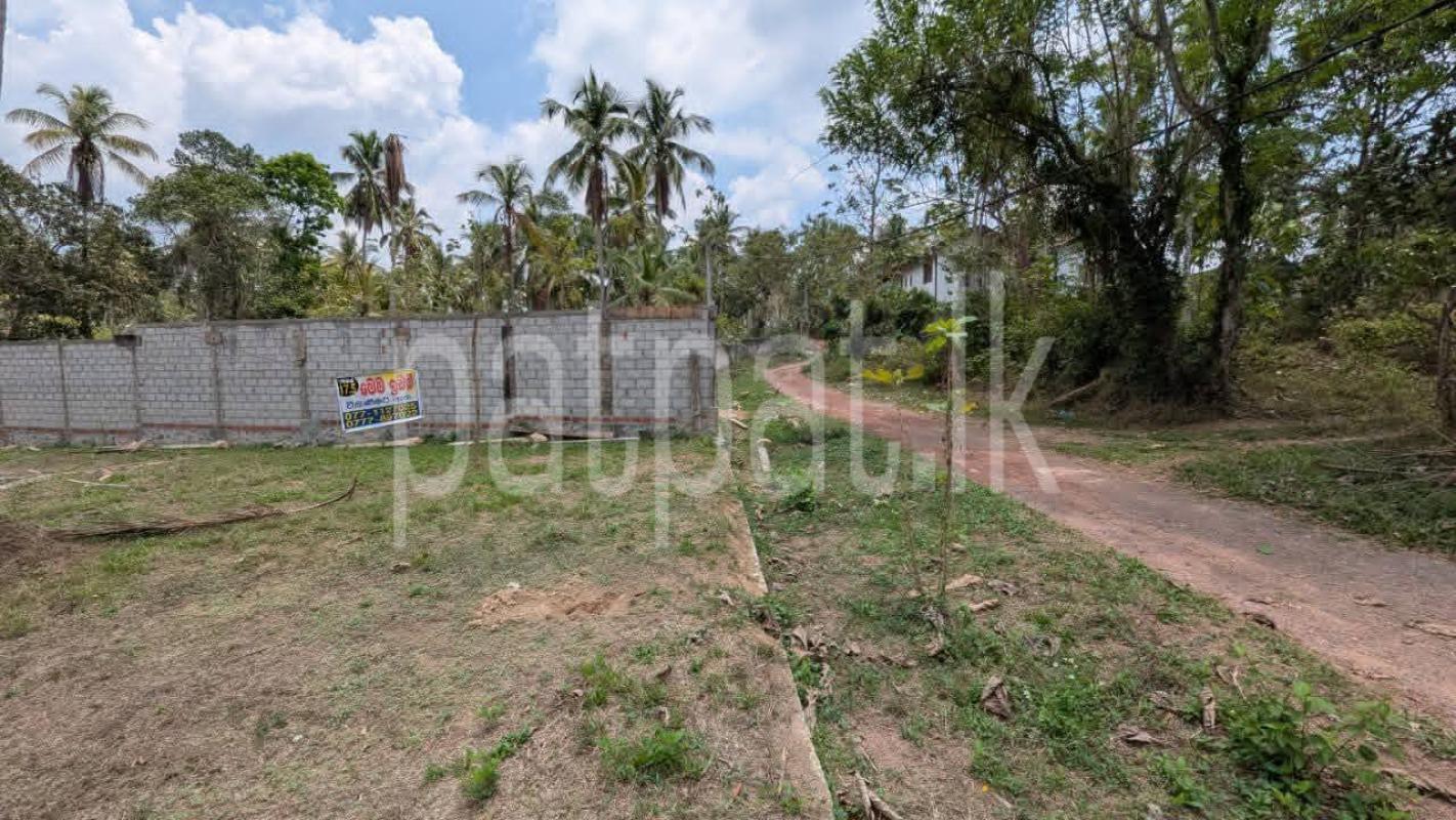 Residential Land for Sale in Dunagaha
