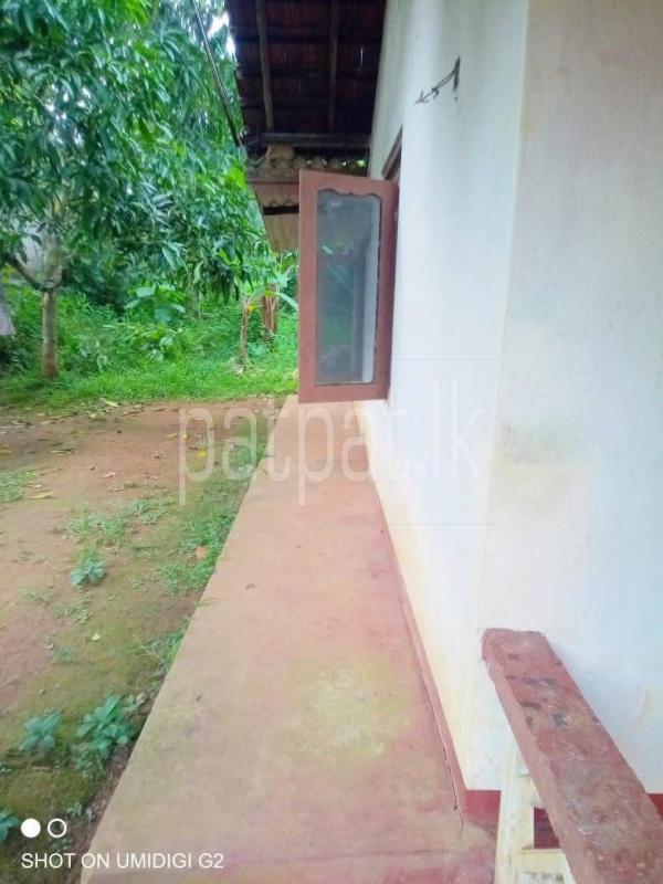House for Sale in Divulapitiya