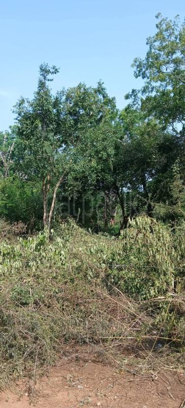 Residential Land for Sale in Kataragama