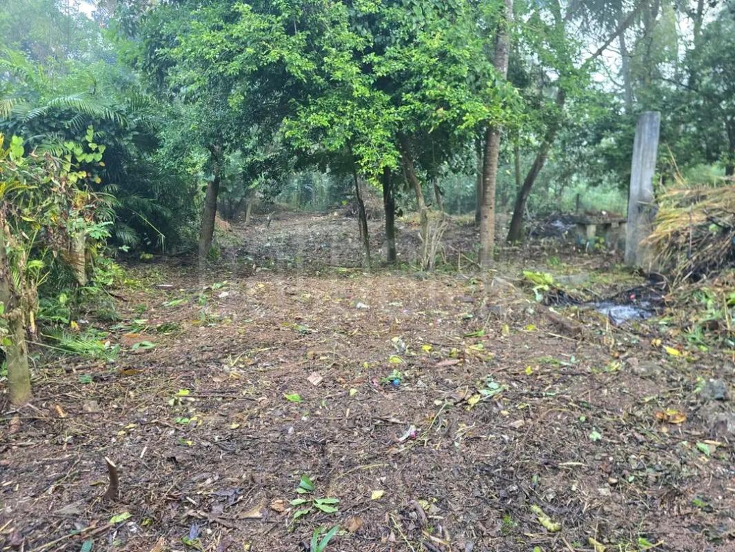 Agricultural Land for Sale in Pamunugama