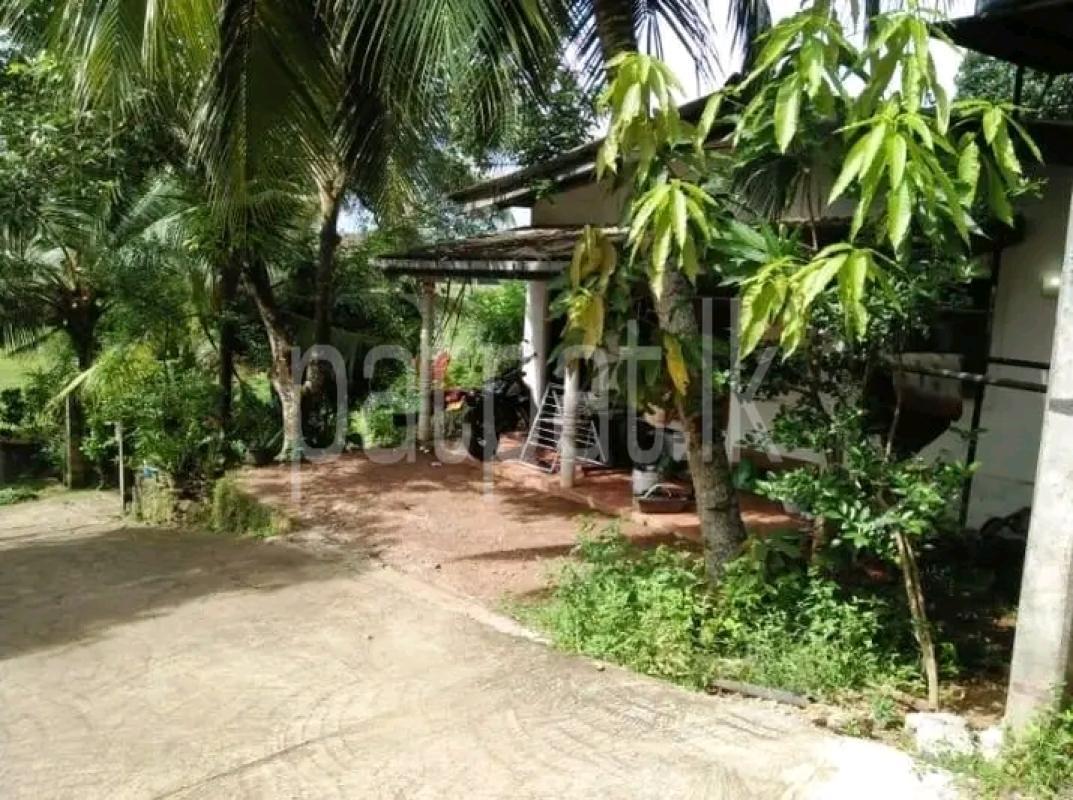 House for Sale in Homagama ads-image-1