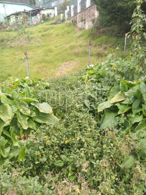 Residential Land for Sale in Nuwara Eliya