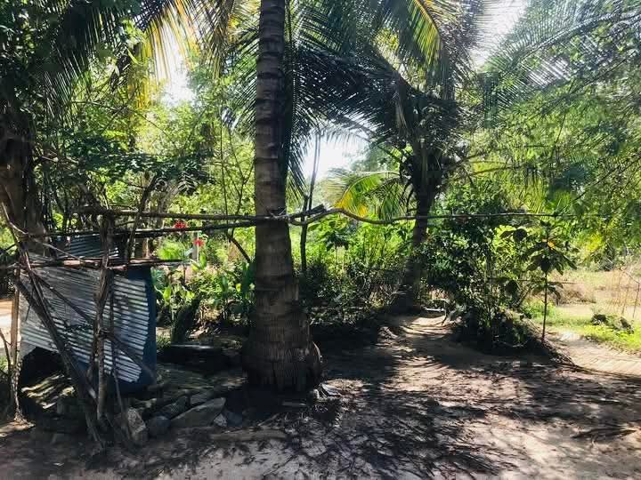 Agricultural Land for Sale in Sewanagala