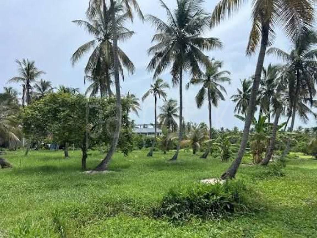 Commercial Land for Sale in Ja-Ela